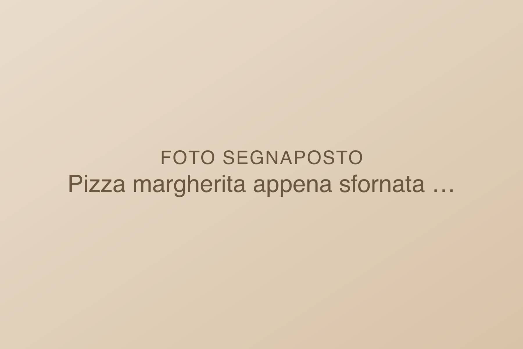 Pizza margherita appena sfornata sul bancone di Pizzeria Demo a Bologna